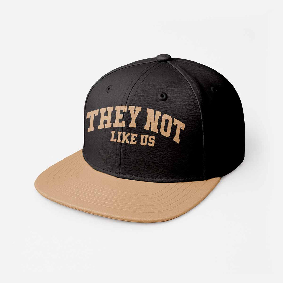 They Not Like Us Black White Snapback Hat