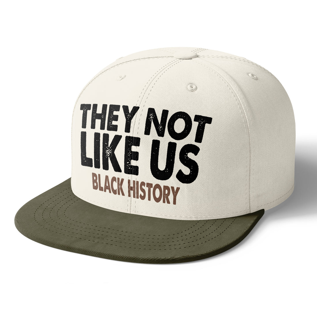 They Not Like Us Black History Snapback Hat